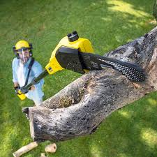 Professional Tree Removal and Landscaping Services in Brent, AL